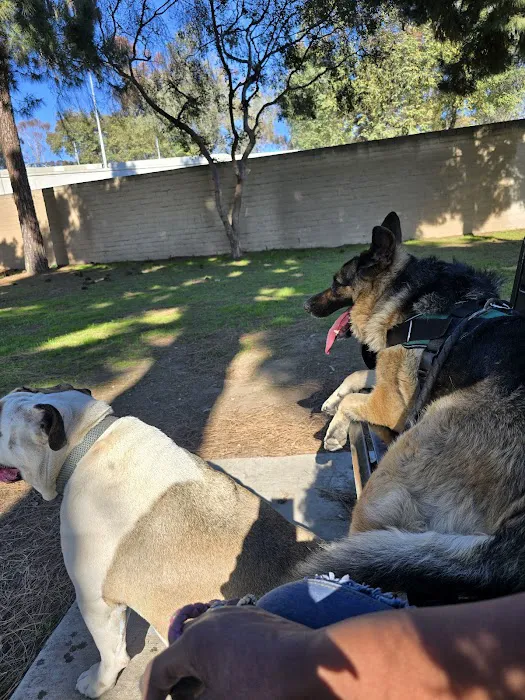 Coolidge Dog Park 2