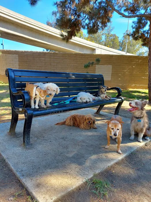 Coolidge Dog Park 7