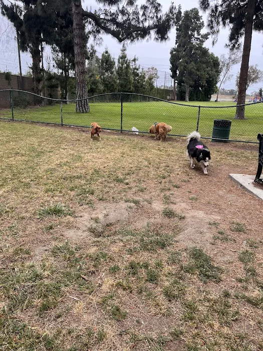 Coolidge Dog Park 10