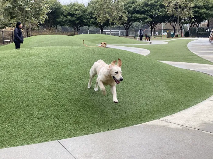 Bluff Creek Dog Park 1