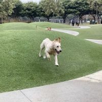 Bluff Creek Dog Park ico