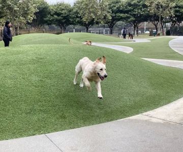 Bluff Creek Dog Park