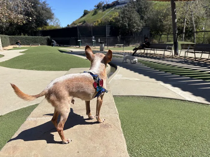 Bluff Creek Dog Park 8