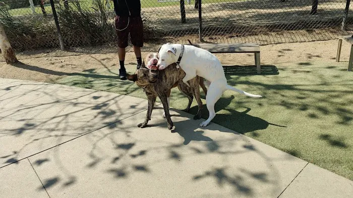 Bluff Creek Dog Park 9