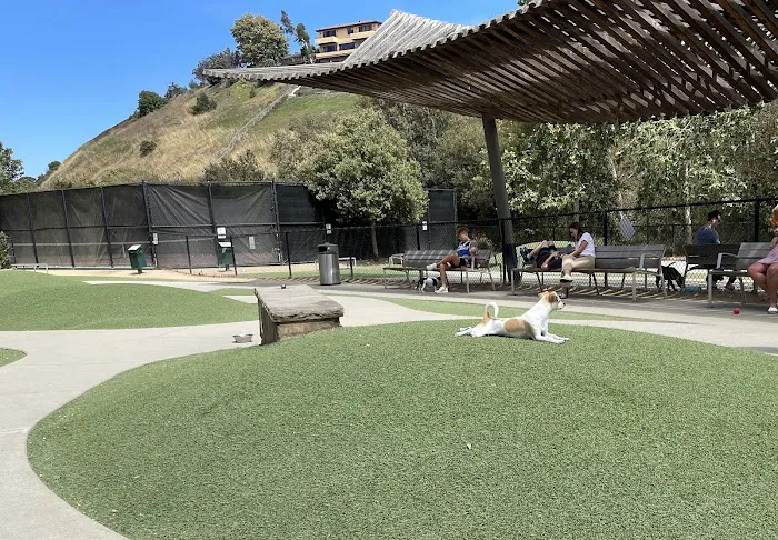 Bluff Creek Dog Park 3