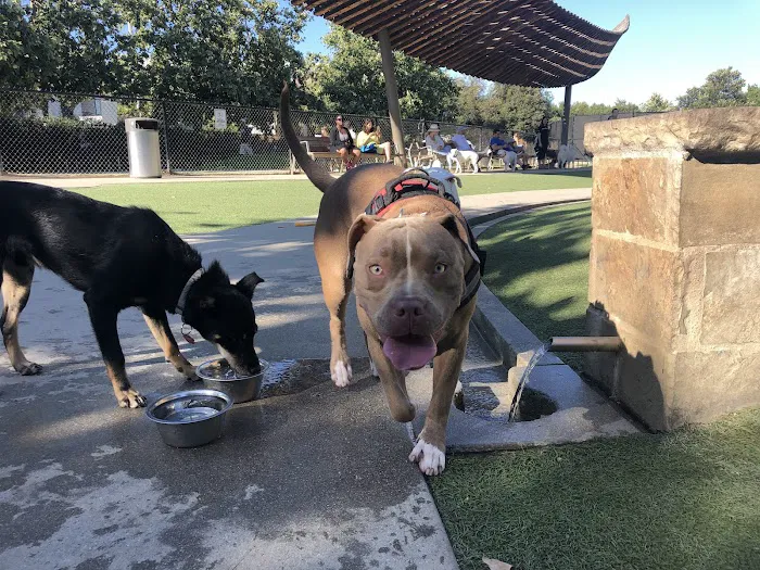 Bluff Creek Dog Park 5
