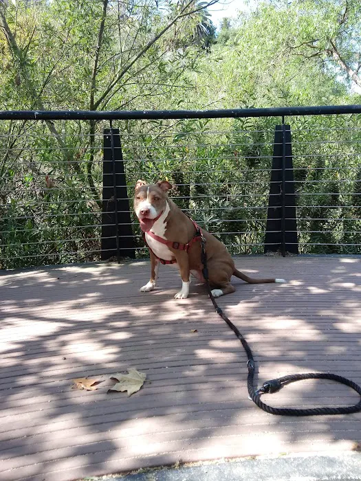 Oberrieder Dog Park 3
