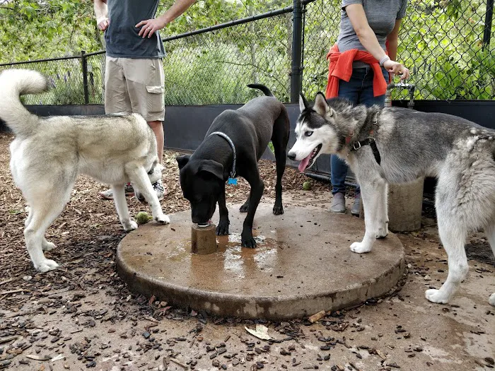Oberrieder Dog Park 4