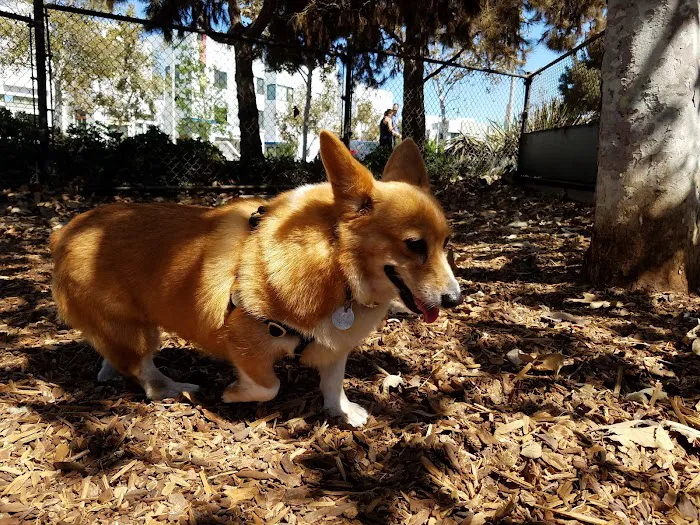 Oberrieder Dog Park 10