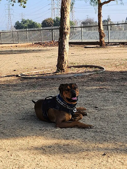 Rio San Gabriel Dog Park 3