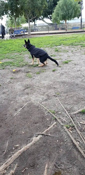 Rio San Gabriel Dog Park 8