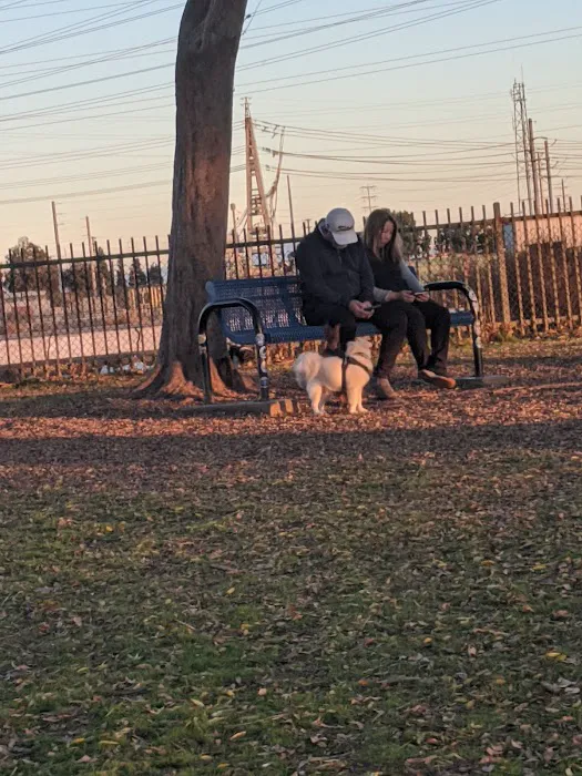 Rio San Gabriel Dog Park 10