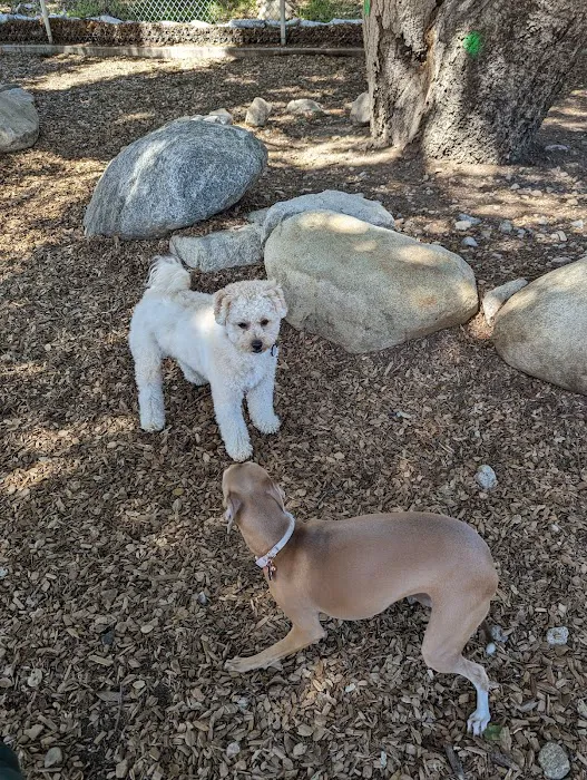 Crescenta Valley Dog Park 5