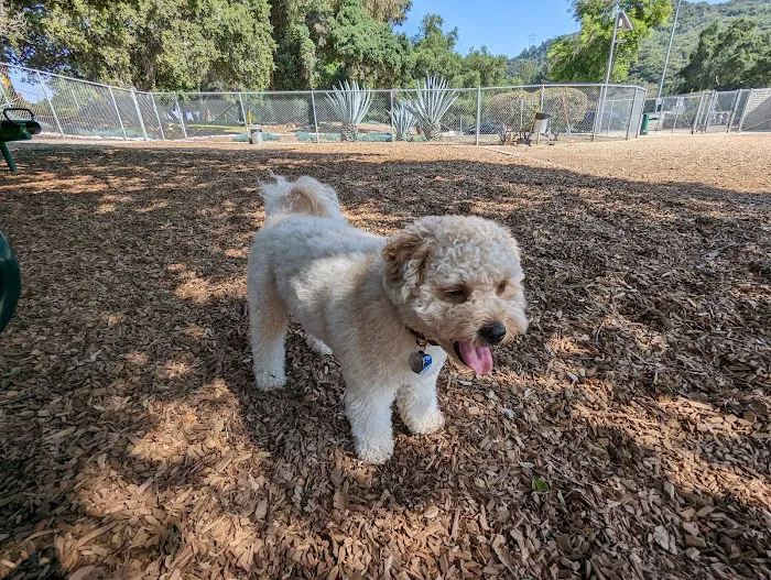 Crescenta Valley Dog Park 1