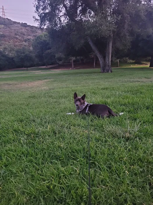 Crescenta Valley Dog Park 9