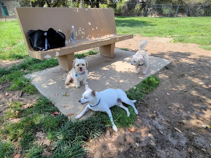 Alice's Dog Park 2
