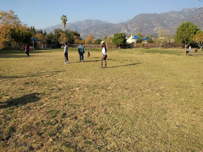 Alice's Dog Park 4