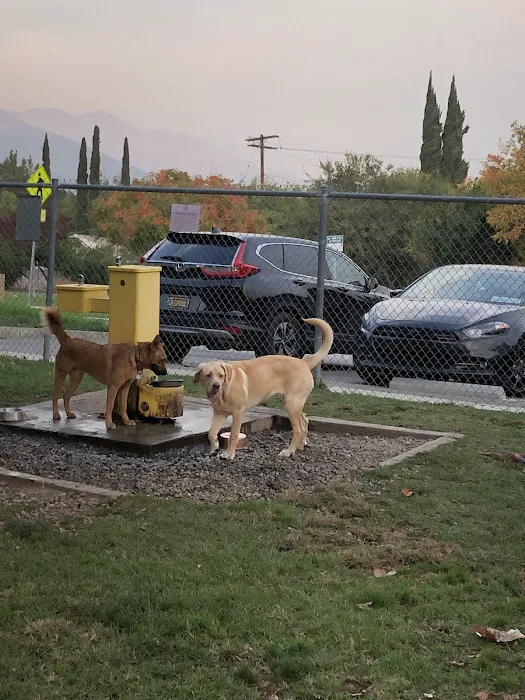 Alice's Dog Park 9