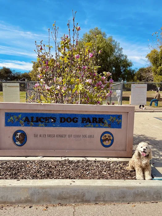 Alice's Dog Park 10