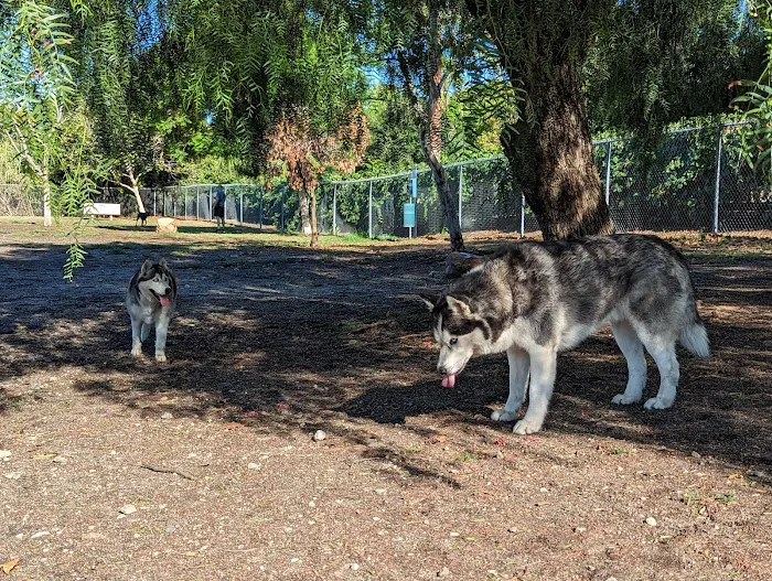 Alice's Dog Park 3