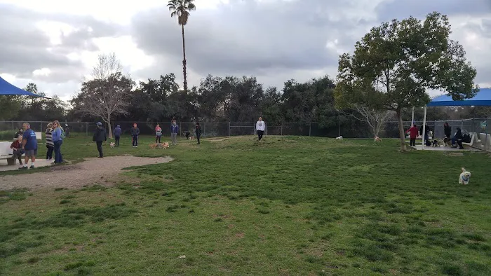 Alice's Dog Park 5