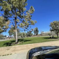 Fletcher Fetch Park ico
