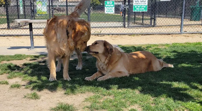 Fletcher Fetch Park 8