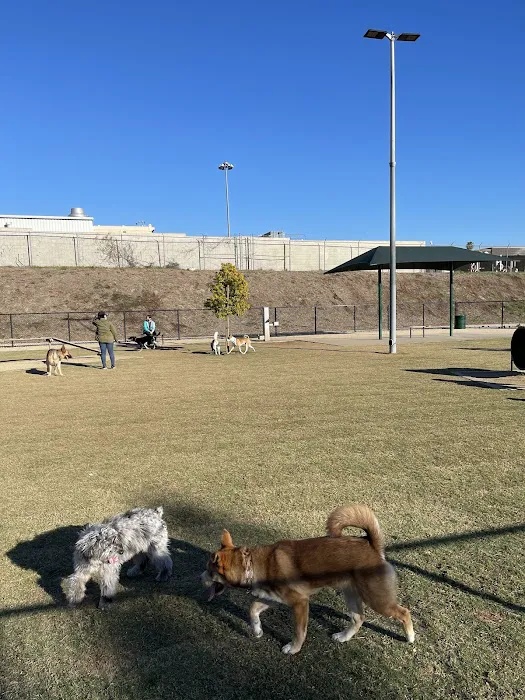 Fletcher Fetch Park 10
