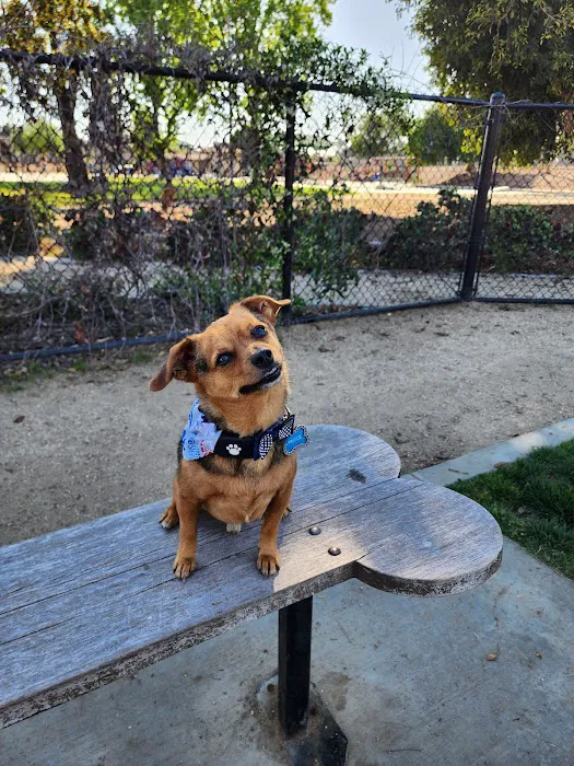 Fletcher Fetch Park 2