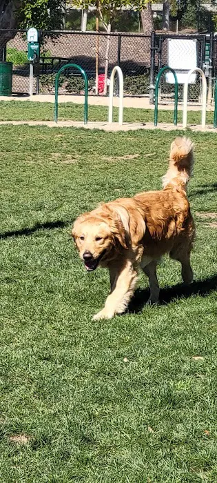 Fletcher Fetch Park 5