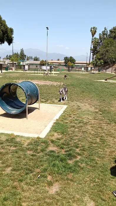 Fletcher Fetch Park 7