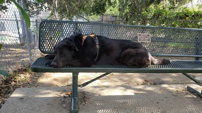 Sierra Madre Dog Park 2