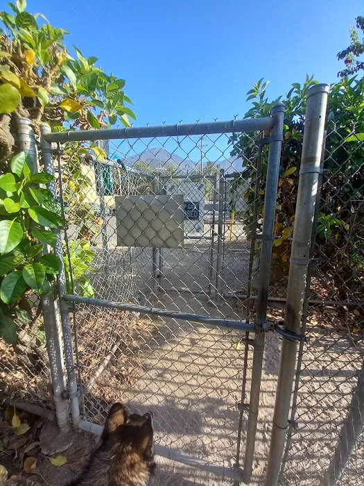 Sierra Madre Dog Park 7
