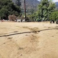 Sierra Madre Dog Park ico