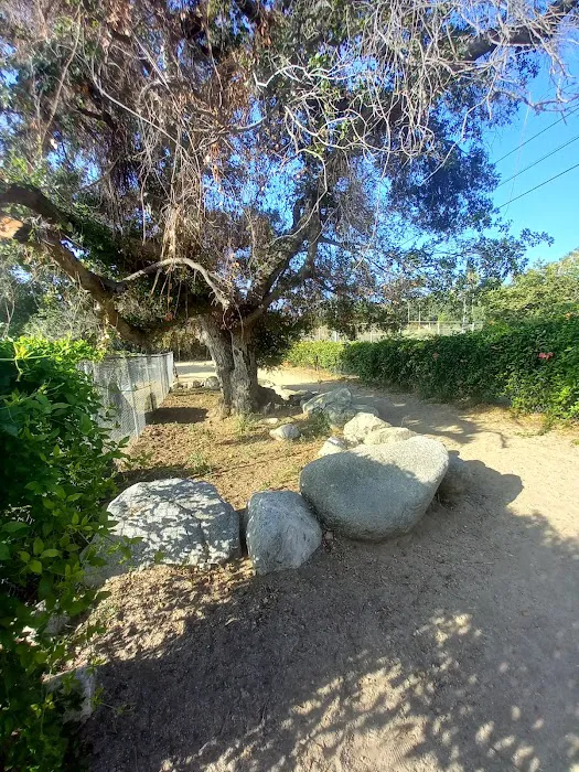 Sierra Madre Dog Park 9
