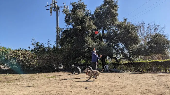 Sierra Madre Dog Park 10