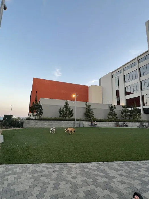 Dog Park at NOHO West 8