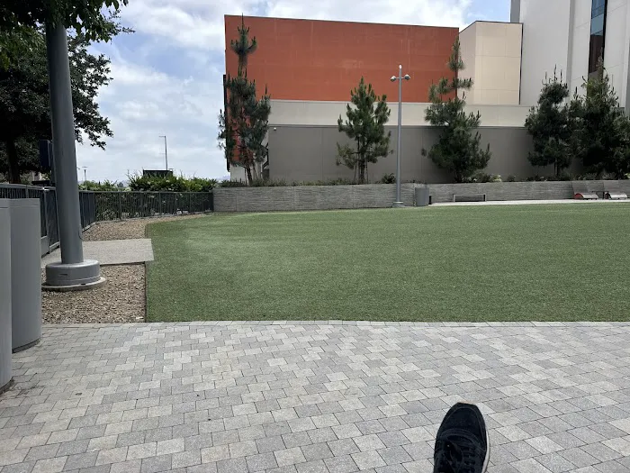Dog Park at NOHO West 9