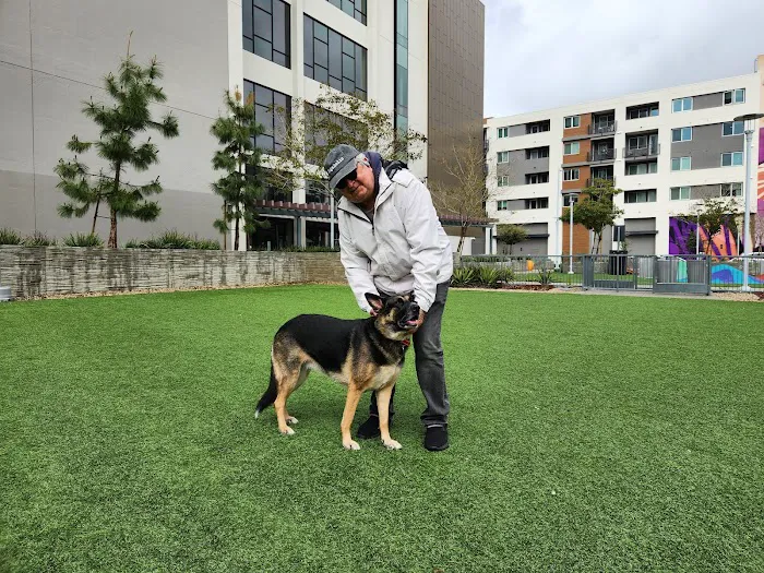 Dog Park at NOHO West 6