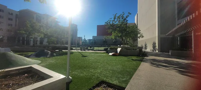 Dog Park at NOHO West 5