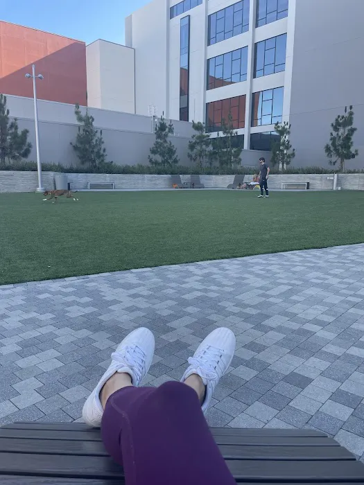Dog Park at NOHO West 1