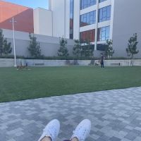 Dog Park at NOHO West ico