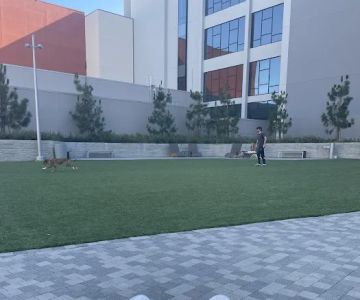 Dog Park at NOHO West