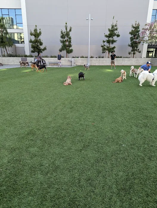 Dog Park at NOHO West 2