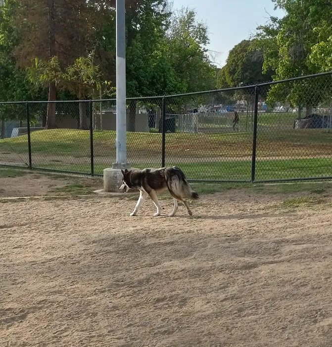 Westwoof Dog Park 7