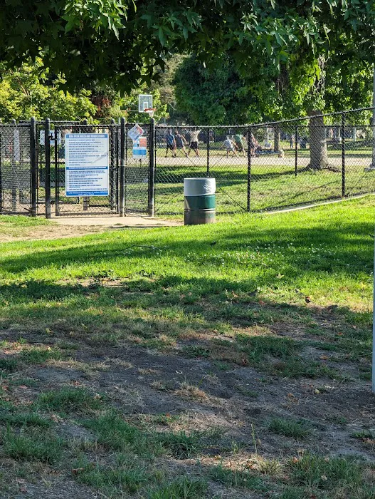 Westwoof Dog Park 8