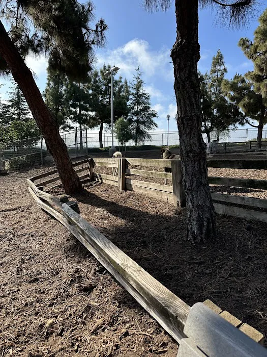 Airport Park Dog Park 5