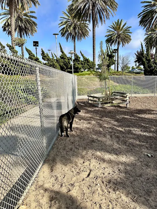 Airport Park Dog Park 4