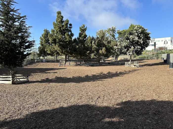 Airport Park Dog Park 2