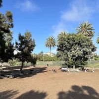 Airport Park Dog Park ico